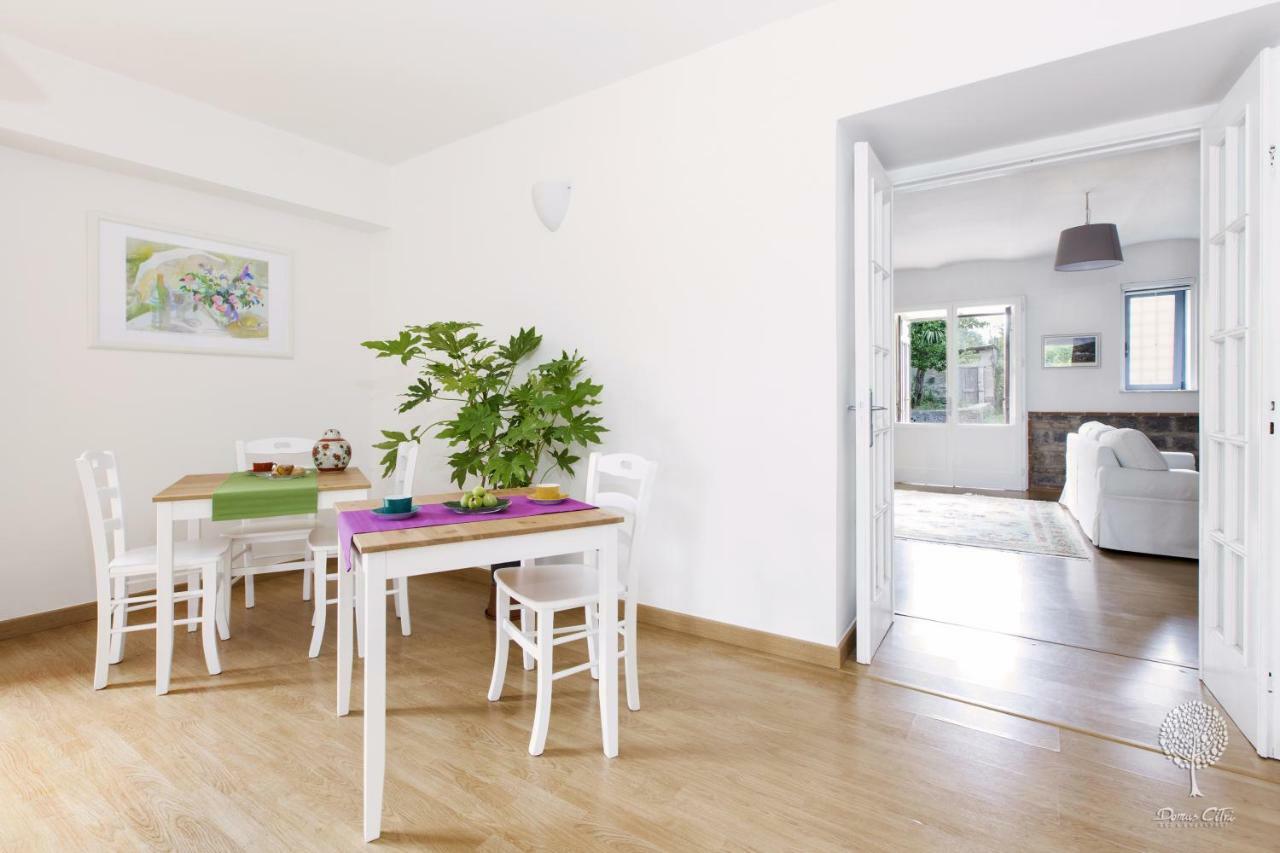 Domus Citri Bed & Breakfast Caserta Luaran gambar